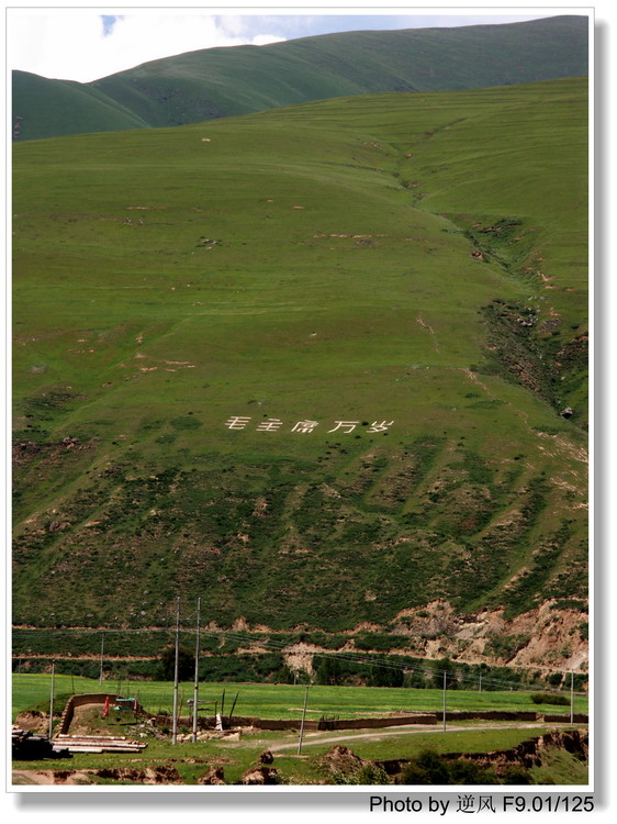 �������  ����������ּ� ����......