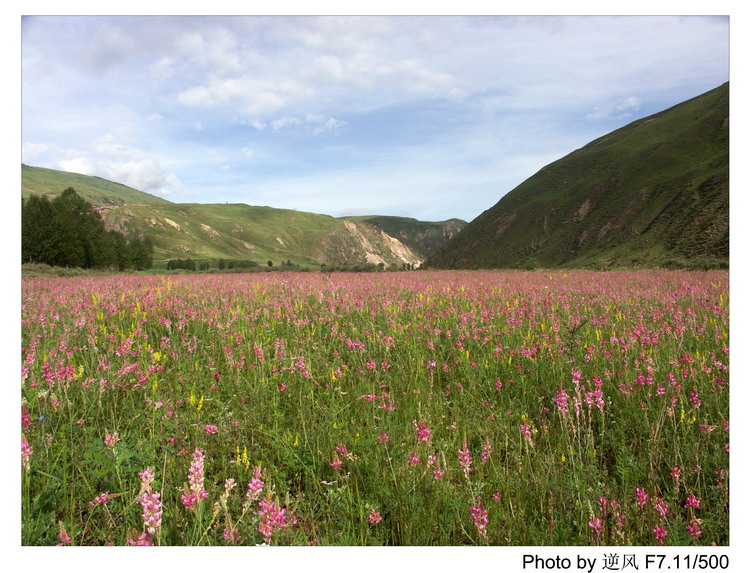 �������  ����������ּ� ����......