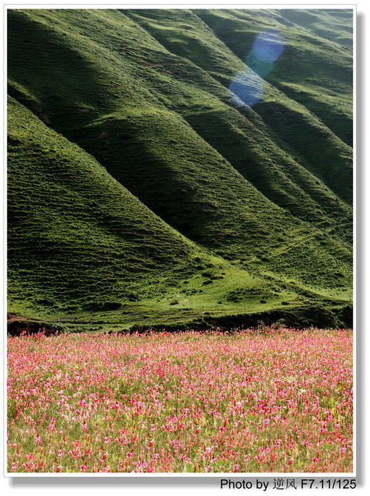 �������  ����������ּ� ����......