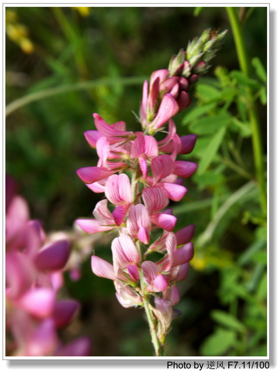 �������  ����������ּ� ����......