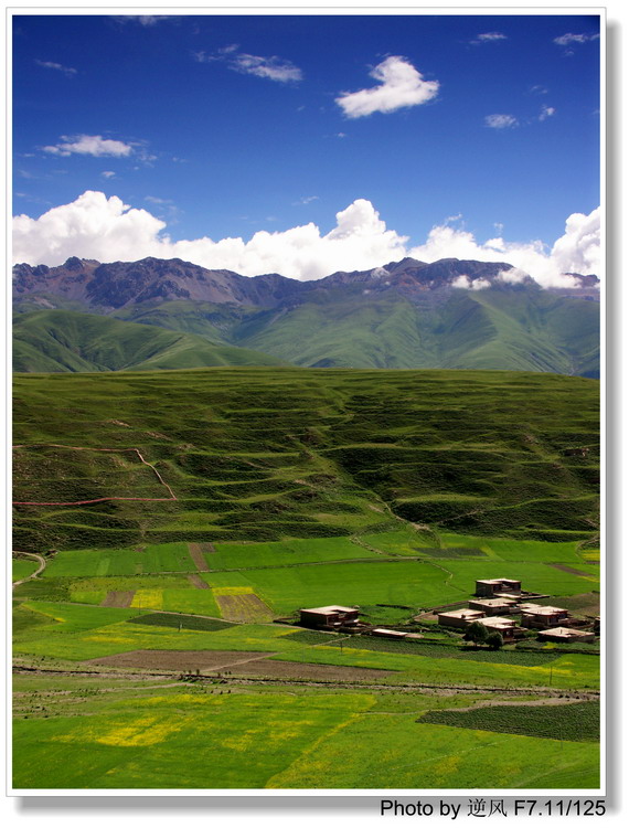 �������  ����������ּ� ����......