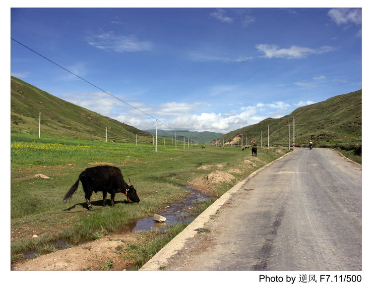 �������  ����������ּ� ����......