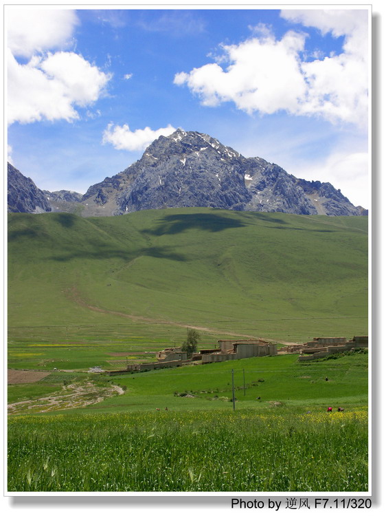 �������  ����������ּ� ����......