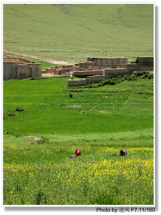 �������  ����������ּ� ����......