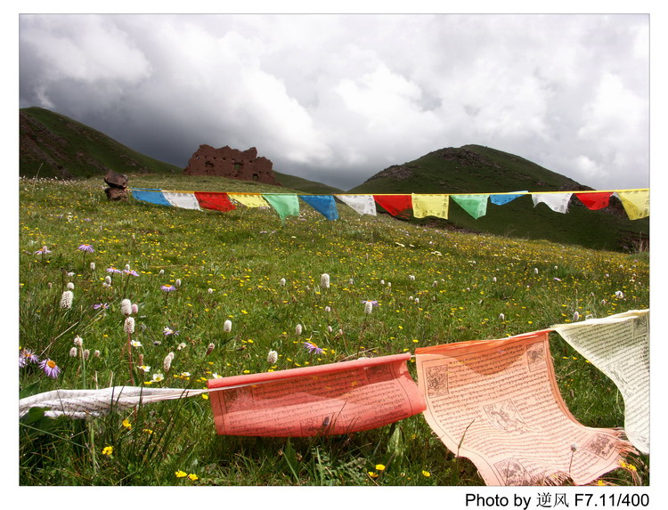 �������  ����������ּ� ����......