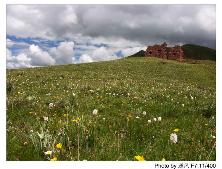 �������  ����������ּ� ����......