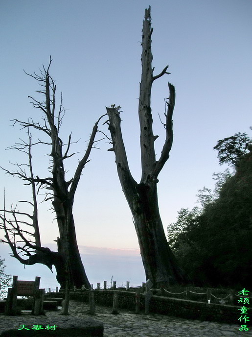 [ԭ��]̨����Ӱ