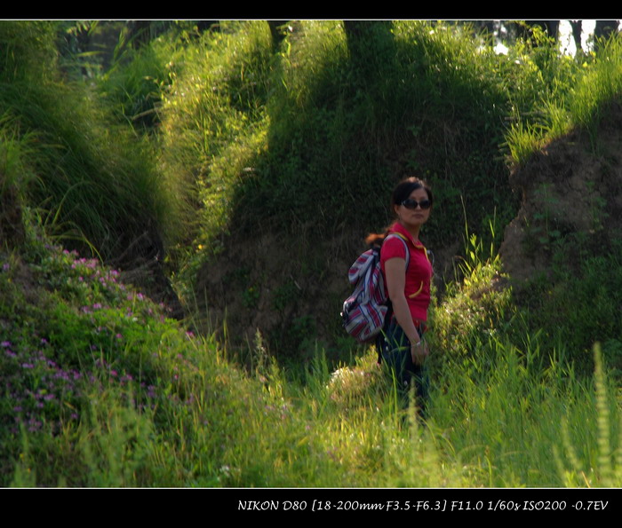 ����ǿ����ڽ���,��Ӱ.д�������۶�δ���ҵĴ�Ů��.....