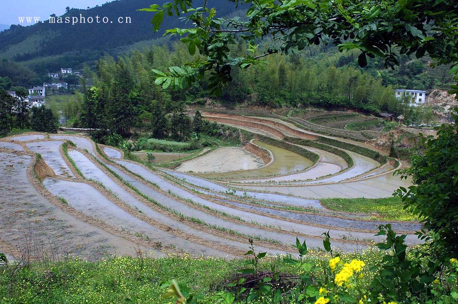 [ԭ��]�Ƴ�����  ���߱���