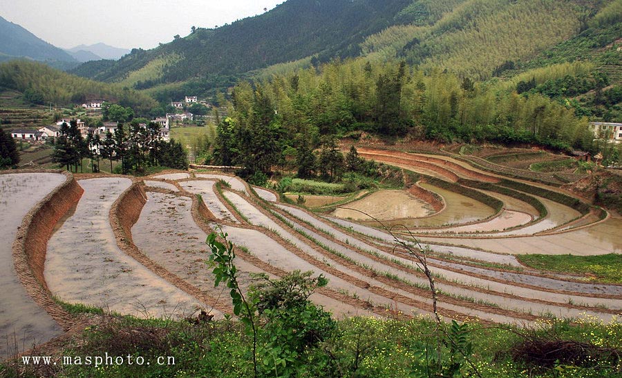 [ԭ��]�Ƴ�����  ���߱���