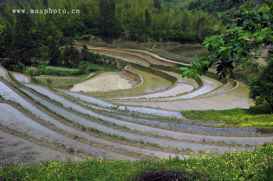 [ԭ��]�Ƴ�����  ���߱���