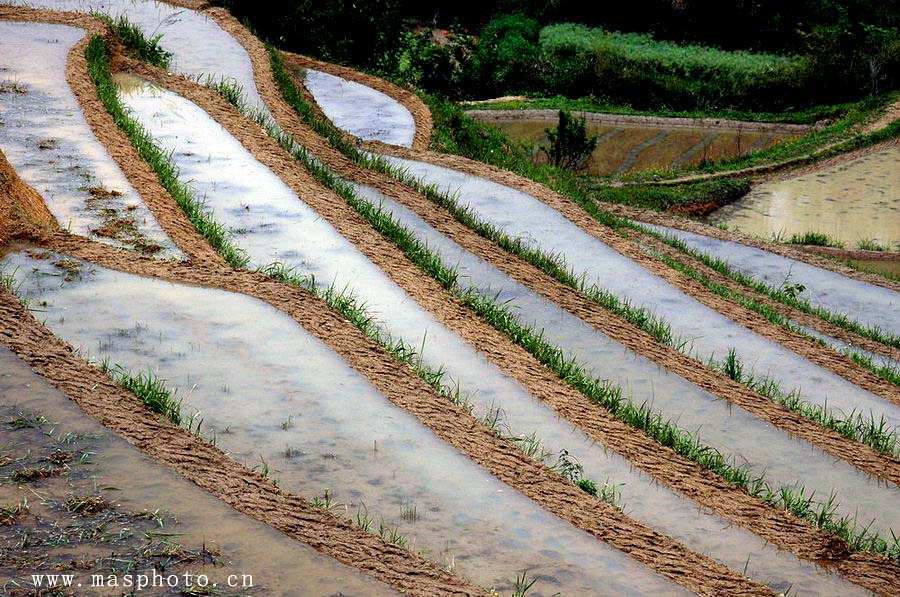 [ԭ��]�Ƴ�����  ���߱���