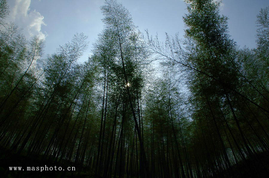 [ԭ��]�Ƴ�����  ���߱���