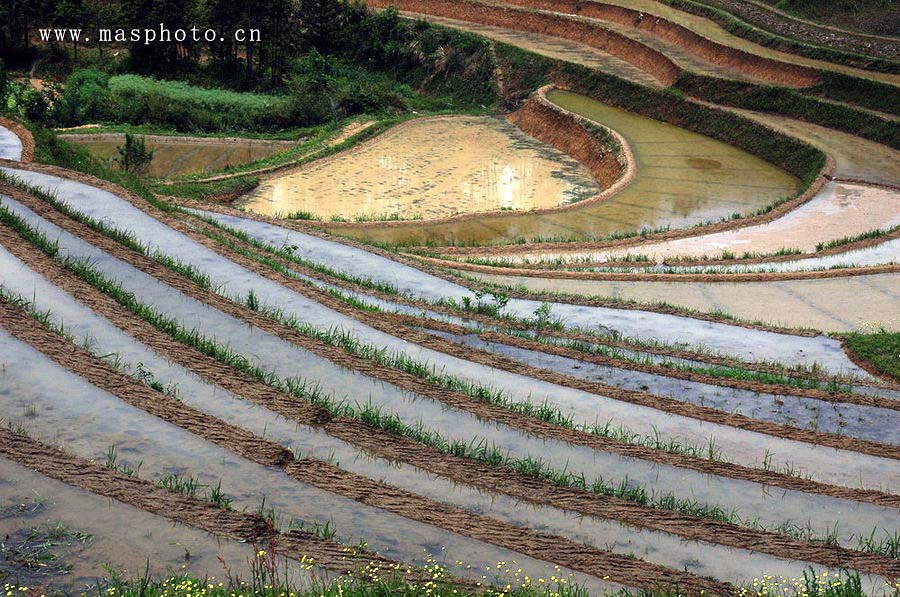 [ԭ��]�Ƴ�����  ���߱���