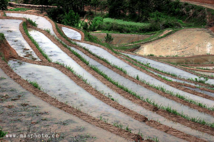 [ԭ��]�Ƴ�����  ���߱���