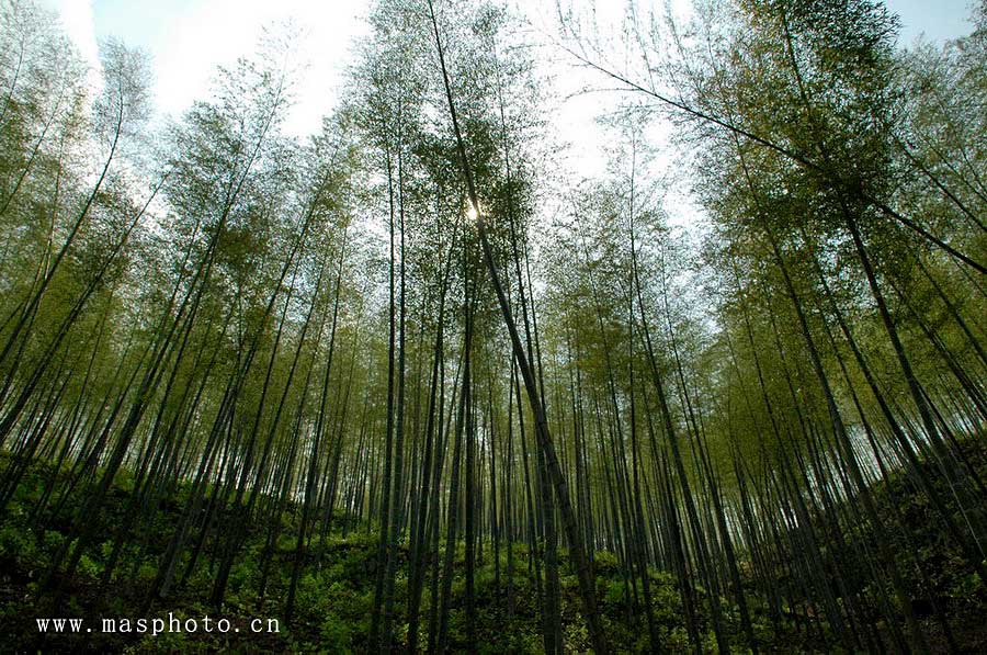 [ԭ��]�Ƴ�����  ���߱���