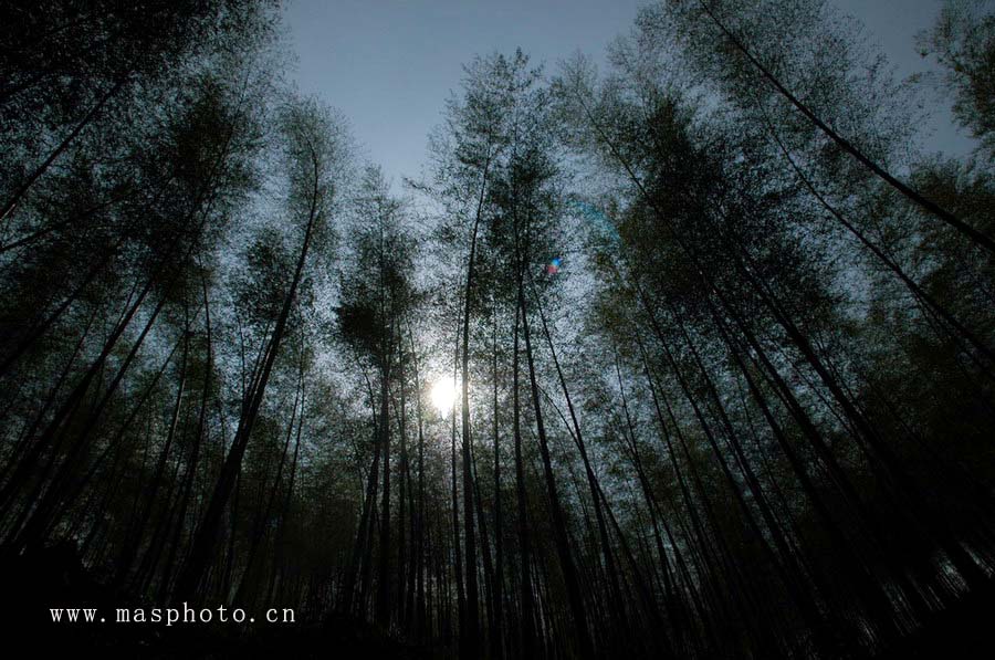 [ԭ��]�Ƴ�����  ���߱���