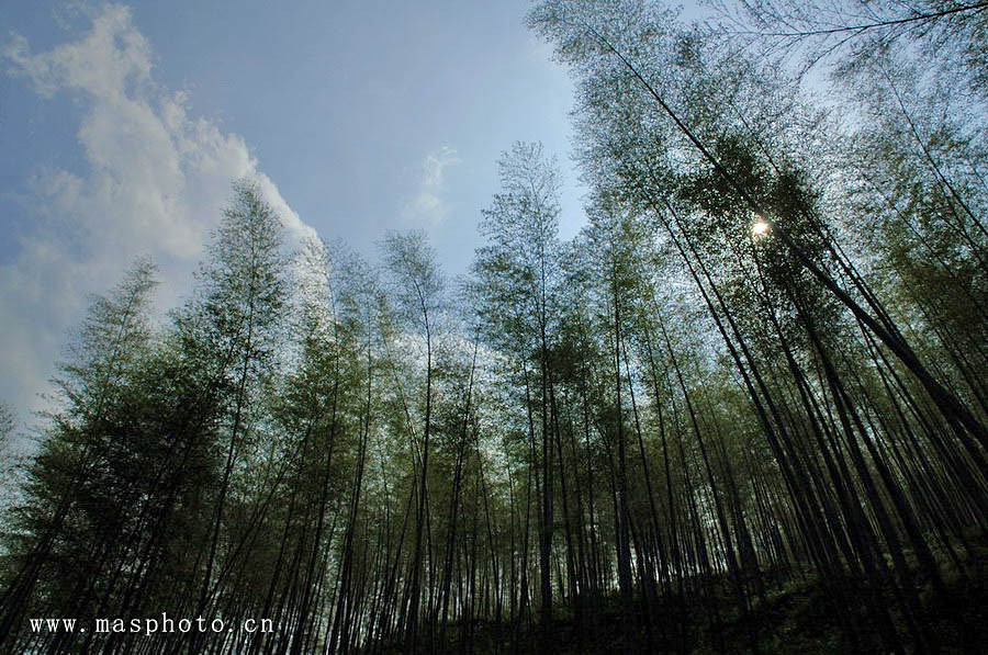 [ԭ��]�Ƴ�����  ���߱���