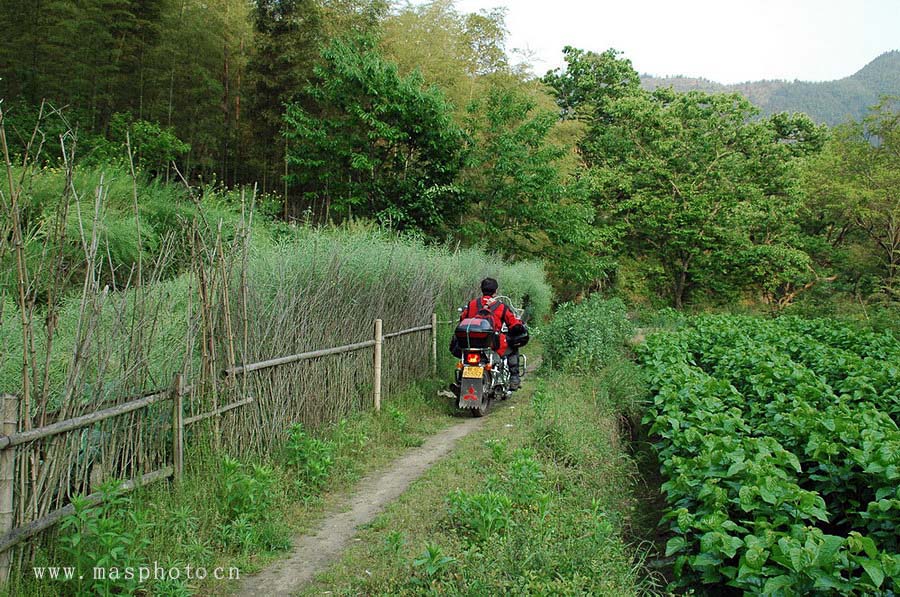 [ԭ��]�Ƴ�����  ���߱��ģ�2��