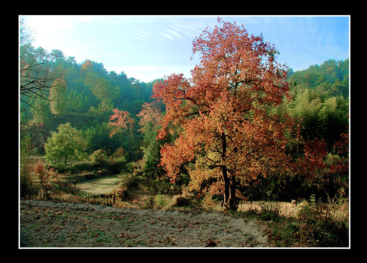 [ԭ��]�Ƴ�����  ���߱��ģ�2��