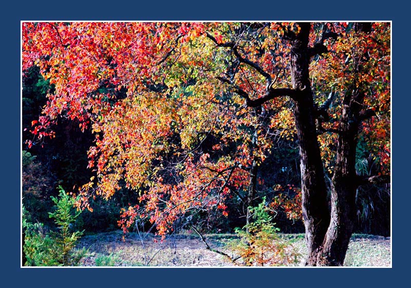 [ԭ��]�Ƴ�����  ���߱��ģ�2��