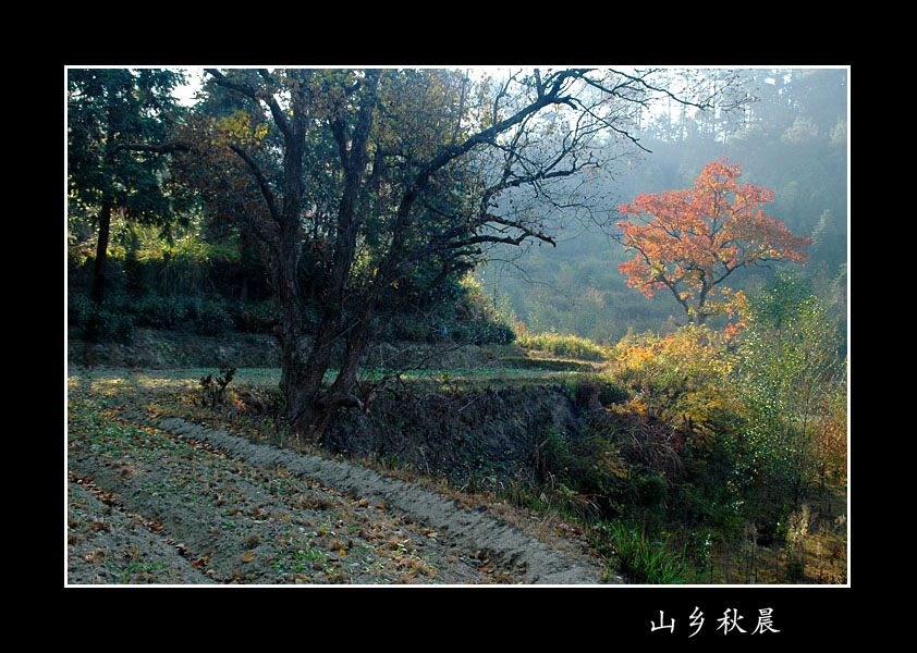 [ԭ��]�Ƴ�����  ���߱��ģ�2��