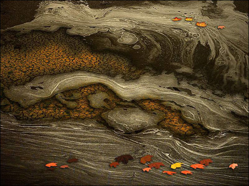 [ת��]�й���ʵ����ͼƬ