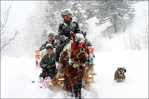 [ת��]�й���ʵ����ͼƬ