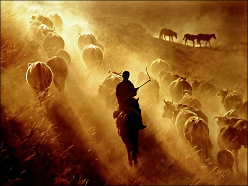 [ת��]�й���ʵ����ͼƬ