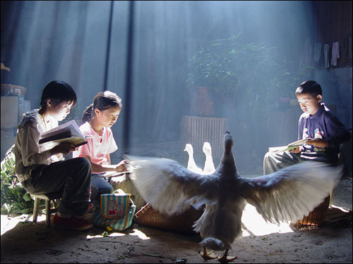 [ת��]�й���ʵ����ͼƬ