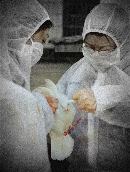 [ת��]�й���ʵ����ͼƬ