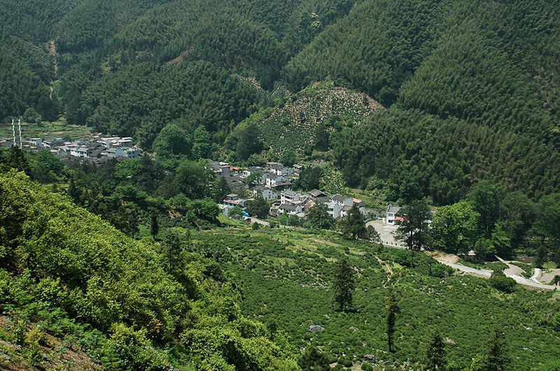 [ԭ��]�Ƴ�����  ���߱��ģ�4����ȥ�����·��