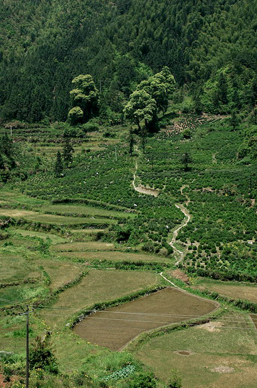 [ԭ��]�Ƴ�����  ���߱��ģ�4����ȥ�����·��