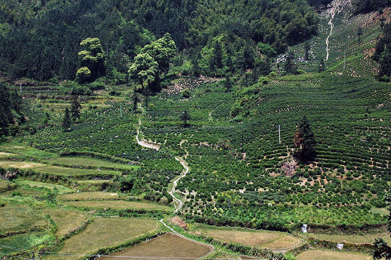 [ԭ��]�Ƴ�����  ���߱��ģ�4����ȥ�����·��