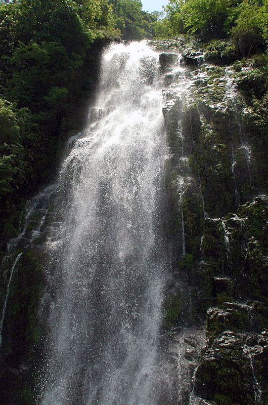 [ԭ��]�Ƴ�����  ������ģ�4����ȥ�����·��