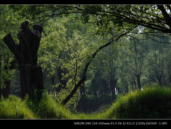 ����ǿ����ڽ���,��Ӱ.д�������۶�δ���ҵĴ�Ů��.....