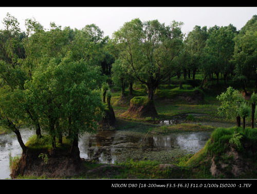 ����ǿ����ڽ���,��Ӱ.д�������۶�δ���ҵĴ�Ů��.....