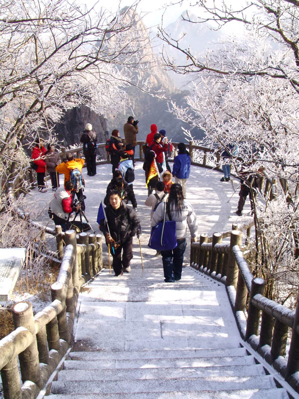 ��������������һ��ѩ