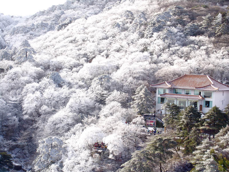 ��������������һ��ѩ