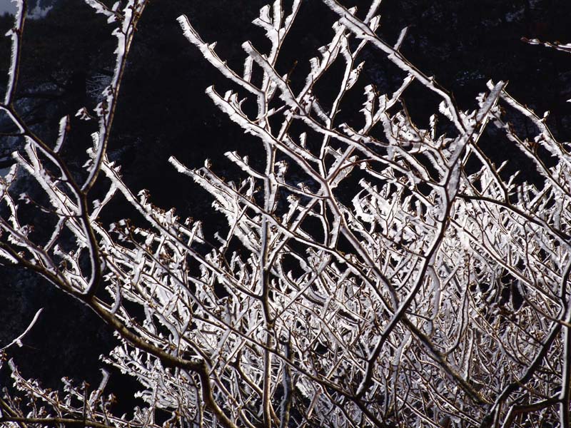 ��������������һ��ѩ