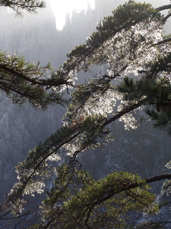 ��������������һ��ѩ