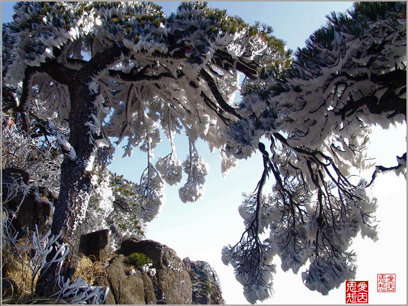 ��������������һ��ѩ