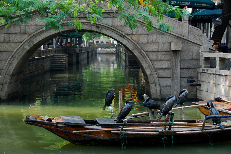 ������������֮ͬ��fֱƪ