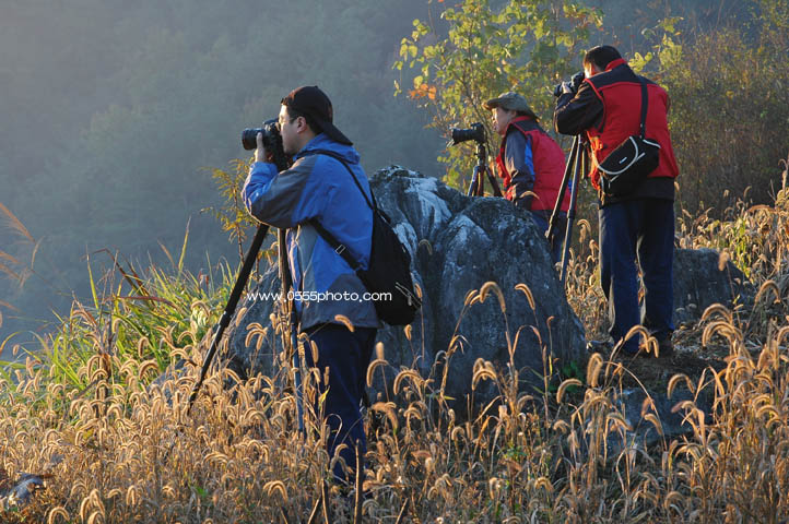 [ԭ��]��2008������Դ����Ӱ�ɷ绨��