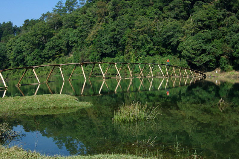 [ԭ��]��2008������Դ����Ӱ�ɷ绨��