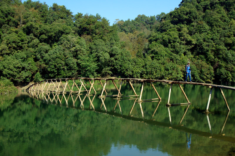 [ԭ��]��2008������Դ����Ӱ�ɷ绨��