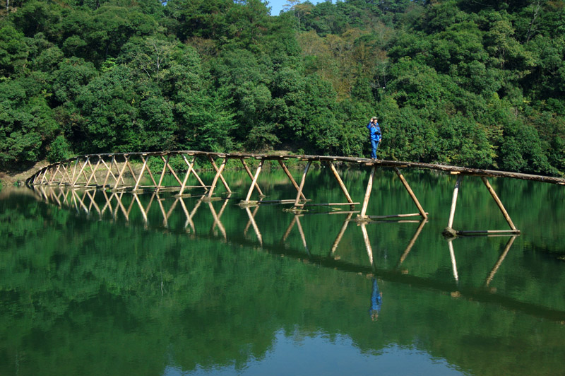 [ԭ��]��2008������Դ����Ӱ�ɷ绨��