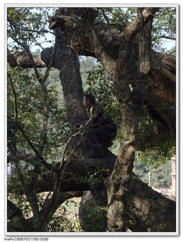 ��Դ��������Ӱ