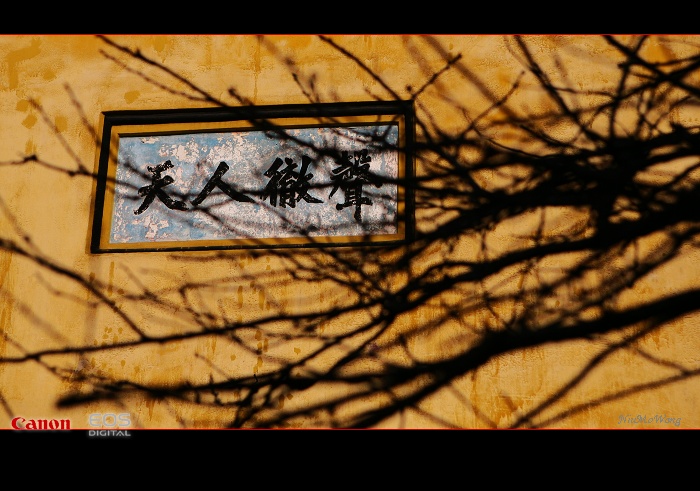 [ԭ��]����ˮ����ϰ��