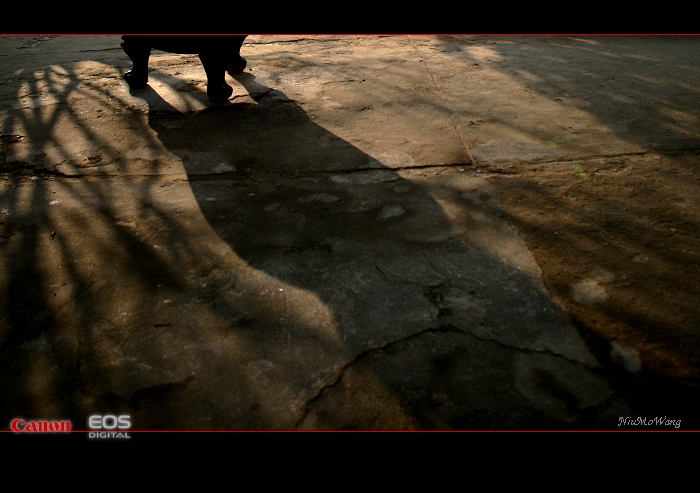 [ԭ��]����ˮ����ϰ��